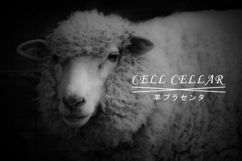 羊プラセンタのご紹介｜CELL CELLARについて